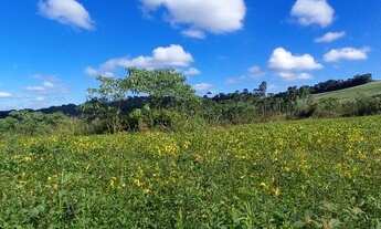 Imagem 5: Chacara na Lapa 2 alqueires