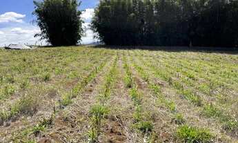 Imagem 4: Tudo que você procura está aqui