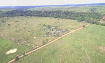 Imagem 5: 123 Alqueires pecuária e Lavoura