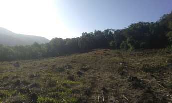 Imagem 3: Rolante - Terras / sítio/ Chácara 22.7 Hectares