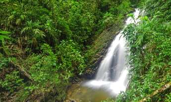 Imagem 5: Fazenda/Sítio/Chácara para venda tem 80000 metros quadrados com 3 quartos