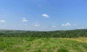 Imagem 2: VENDO EXCELENTE PROPRIEDADE RURAL A VENDA EM IPATINGA!