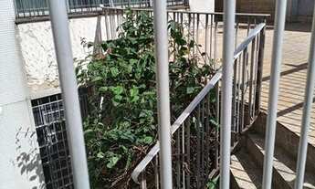 Imagem 2: SOBRADO NO CENTROB DA PENHA