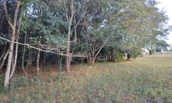 Imagem 4: Terreno Área Rural com 11.9lts 7.199m2 48x150mts