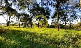 Imagem 5: Terreno MOGI MIRIM - SP