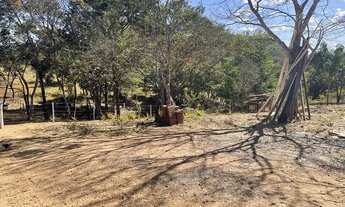 Imagem 6: Vendo fazendo próxima de Cocalzinho GO