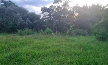 Imagem 7: Terreno em Boituva - 2.300 Metros - Bairro dos Ipês - Estrada Municipal Boituva