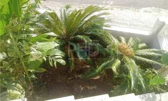 Imagem 2: SOBRADO PARQUE DOS PÁSSAROS