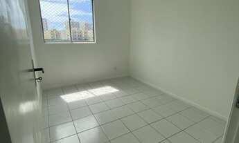 Imagem 4: Veredas do Sol - Sombra - Ponto Novo