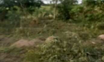 Imagem: Vendo terra pra chácara