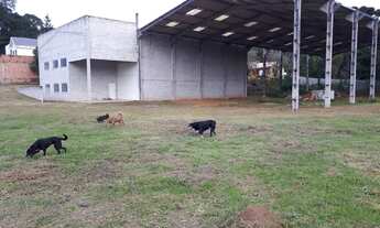 Imagem 4: Vende-se área 51mil MT com barracão em quatro barras 490 MT