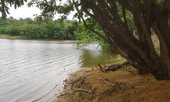 Imagem 3: Terreno chácara