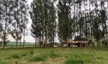 Imagem 4: Chácara de 6 hectares em Jaraguari, MS: Um Refúgio Tranquilo no Campo