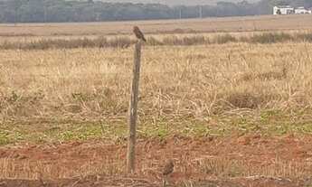 Imagem 2: Vendo Lote de 360 m2 no Residencial Dom Bosco Cidade Ocidental Só 35 mil