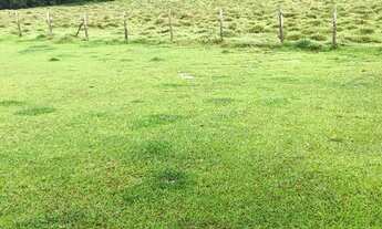 Imagem 4: EC - Vendo Terreno para Lazer e Tranquilidade, Venha Conferir !!