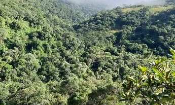 Imagem 5: Vendo sítio entre Anitapolis e Alfredo Wagner