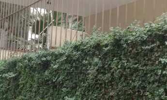 Imagem 3: Sobrado com 3 dorms, Vila Progredior, São Paulo - R$ 1.3 mi, Cod: 2375