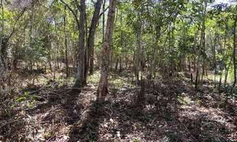 Imagem 4: Chácaras com Rio vermelho ótima para lazer e pesca!
