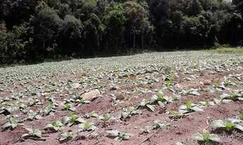 Imagem 3: VENDA DE CHÁCARA QUITANDINHA