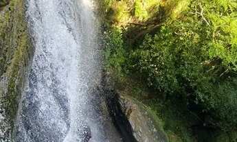 Imagem: Vendo sítio entre Anitapolis e Alfredo