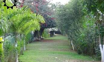 Imagem 5: APTO VELOSO Apartamento com 2 dormitórios