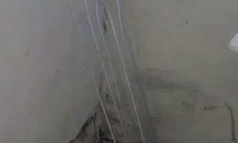 Imagem 5: Vendo ou alugo Casa com 1 dormitório