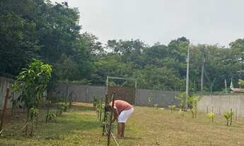 Imagem 6: Sítio no Ramal do açutuba