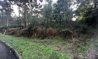 Imagem 3: Terreno no Loteamento Marsal em Gramado!