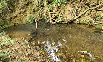Imagem 5: Chácara 10.000m² com cachoeira de aguas cristalinas nos fundos, Jaboticatubas
