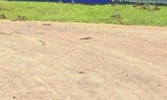 Imagem 2: Vende se terreno com casa 11x32 pagamento a vista 250 mil