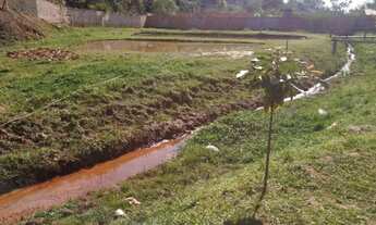 Imagem 7: Sitio 5.000m² com 4 lagoas em Juatuba