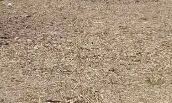 Imagem 4: Terreno para venda tem 180 metros quadrados em Itaipu - Niterói - RJ