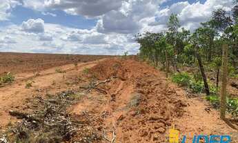 Imagem 2: Excelente fazenda dupla aptidão com 576,20 hectares à venda em Brasilândia de Minas - MG