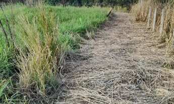Imagem 3: Imóvel para venda tem 32000 metros quadrados em Campo Grande - Rio de Janeiro - RJ