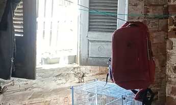 Imagem 4: Casa com Comércio São Luís do Maranhão