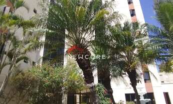 Imagem 2: Apartamento em Rua Sete de Setembro - Vila Industrial - Campinas/SP