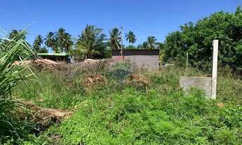 Imagem 9: No Paraíso de Tatuamunha tem umTerreno esperando por você!