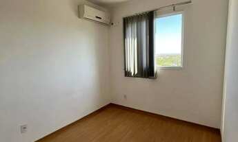 Imagem 6: Palmeira Dourada - 105 Norte