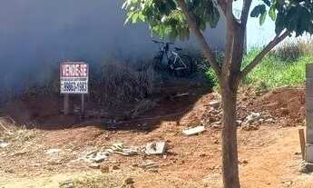 Imagem: Lote nascente do vale