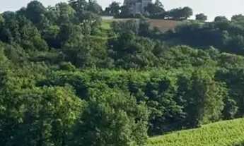 Imagem 3: 2000m² ao lado do lago e quiosque o paraíso a 18 min do centro por R$ 100 mil