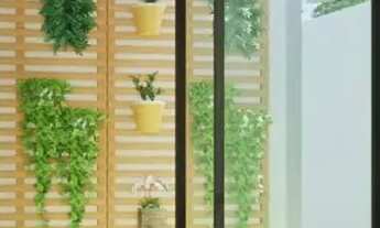 Imagem 7: Casas Soltas à Venda no Araçagy Região do Rio da Prata