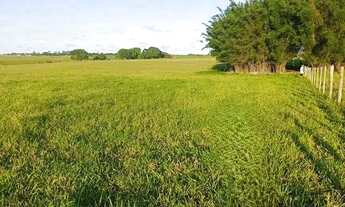 Imagem 7: ÁREA 34.272 M². ESTRADA DO BREJO GRANDE