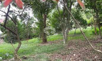 Imagem 4: TERRENO PARA PRÉDIO COMERCIALOU RESIDENCIAL EM CAXIAS DO SUL