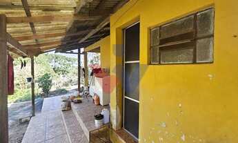 Imagem 6: Chácara 20.000 m em Mandirituba Casa, pomar, nascentes e açude