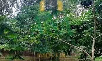 Imagem 3: Lindo Terreno no condomínio Vale do Lago