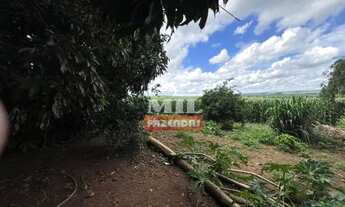 Imagem 4: Chácara 5,5 alqueires (26,62 hectares ) Bela vista - GO