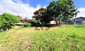 Imagem 6: Terreno | 580m² | Vista Espetacular | Terreno Plano | Bairro São Luiz