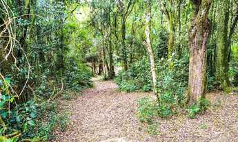 Imagem 2: TERRENOS EM COTIA PRÓXIMO À RAPOSO!