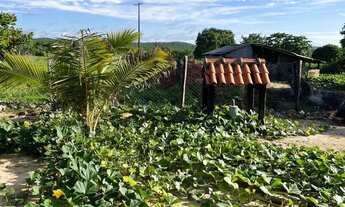 Imagem 3: Sitio de 7 hectares na região barreiro branco no município de Nossa Senhora do L
