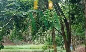 Imagem 4: Lindo Terreno no condomínio Vale do Lago